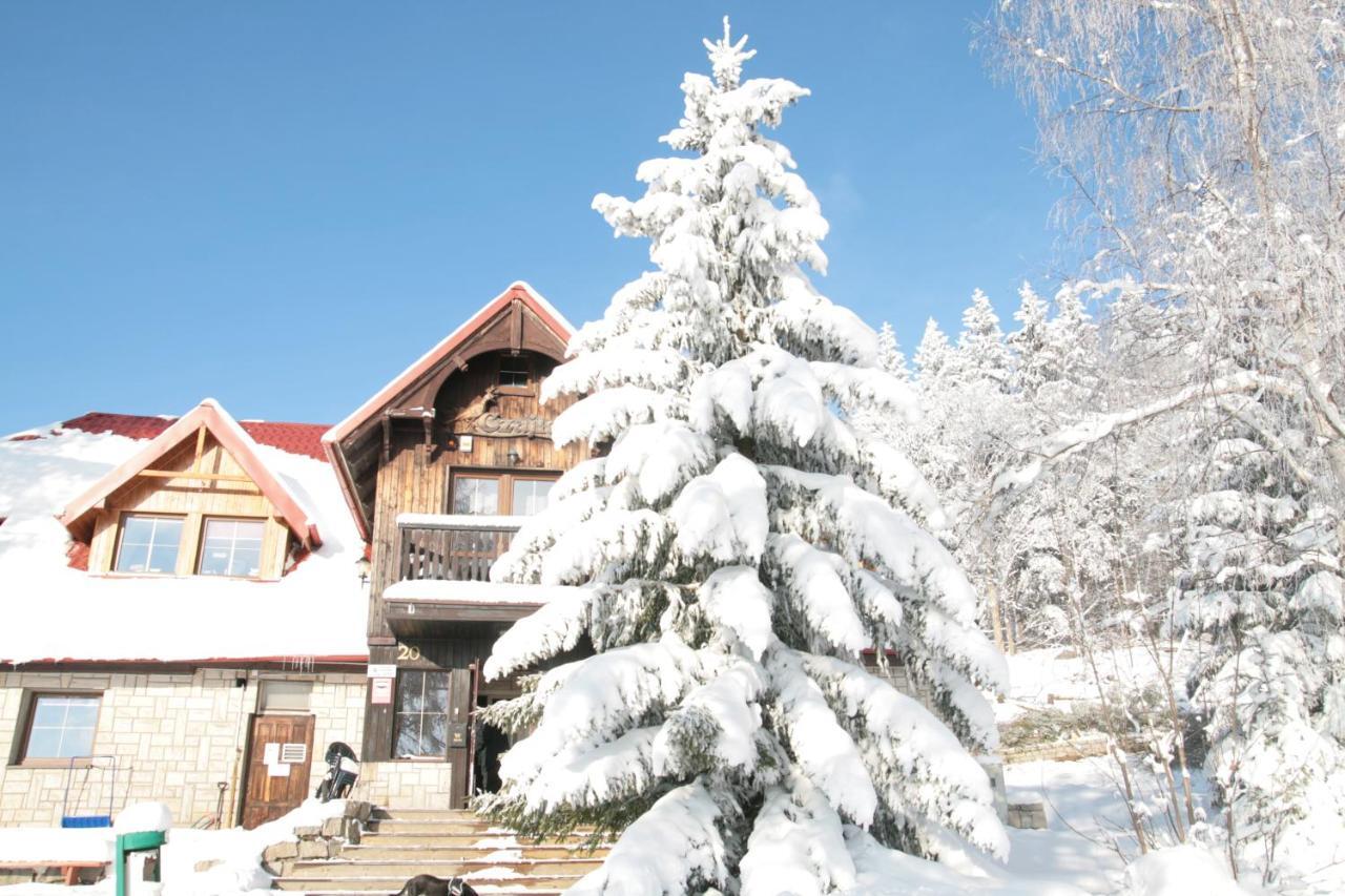Bed and Breakfast Czajka Шклярска-Поремба Экстерьер фото